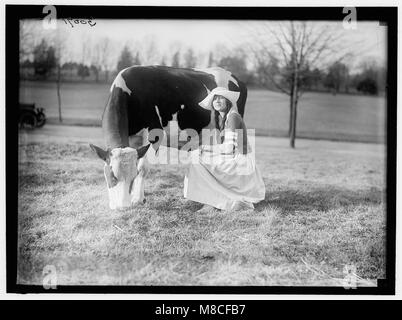 ECKLES, Virginia. IN DER NIEDERLÄNDISCHEN MILCHINDUSTRIE - DIENSTMÄDCHEN, MIT KUH LCCN 2016869769 Stockfoto