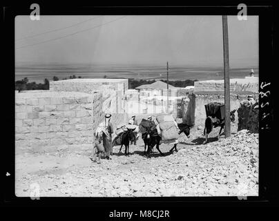 Jenin, Sept. 3, 1938. Bewohner ihr Haus Bergung - halten Sie Effekte, die Auswirkungen auf die Esel LOC 18691 matpc. Stockfoto