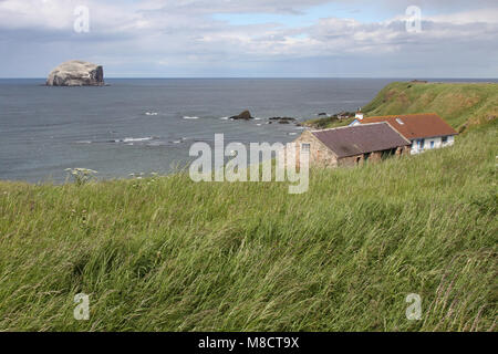 Vogeleiland de Bass Rock in Schotland, Bird Island Die Bass Rock in Schottland Stockfoto
