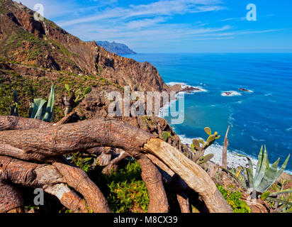 Küste in der Nähe von El Draguillo, Anaga ländlichen Park, Teneriffa, Kanarische Inseln, Spanien Stockfoto