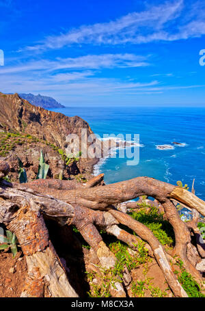 Küste in der Nähe von El Draguillo, Anaga ländlichen Park, Teneriffa, Kanarische Inseln, Spanien Stockfoto