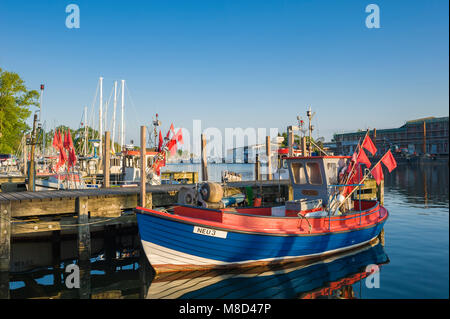 Fischerboot im Hafen, Neustadt in Holstein, Ostsee, Schleswig-Holstein, Deutschland, Europa Stockfoto