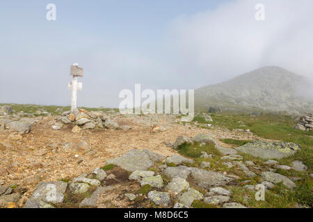 Nebligen Wetter entlang der Appalachian Trail (gulfside Trail) in der Nähe von Mount Clay in Thompson und Meserve der Kauf der New Hampshire White Mountains. Stockfoto
