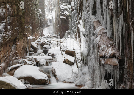 Franconia Notch State Park - Flume Gorge in Lincoln, New Hampshire USA während eines Schneesturms. Schneegestöber gesehen werden kann. Stockfoto