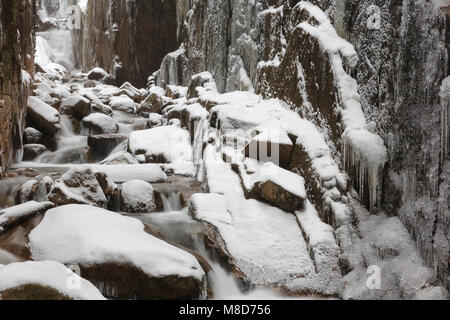 Franconia Notch State Park - Flume Gorge in Lincoln, New Hampshire USA während eines Schneesturms. Schneegestöber gesehen werden kann. Stockfoto