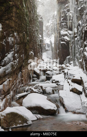 Franconia Notch State Park - Flume Gorge in Lincoln, New Hampshire USA während eines Schneesturms. Schneegestöber gesehen werden kann. Stockfoto