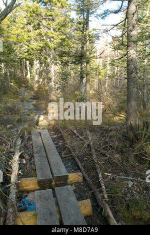 Puncheons (bog Brücken) entlang der einen Hand Trail im White Mountain National Forest, New Hampshire verleihen. Puncheons sind in feuchten Gebieten entlang des Trails verwendet Stockfoto