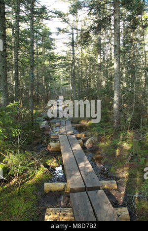 Puncheons (bog Brücken) entlang der einen Hand Trail im White Mountain National Forest, New Hampshire verleihen. Puncheons sind in feuchten Gebieten entlang des Trails verwendet Stockfoto