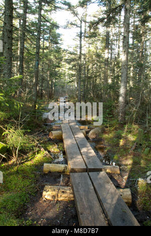 Puncheons (bog Brücken) entlang der einen Hand Trail im White Mountain National Forest, New Hampshire verleihen. Puncheons sind in feuchten Gebieten entlang des Trails verwendet Stockfoto