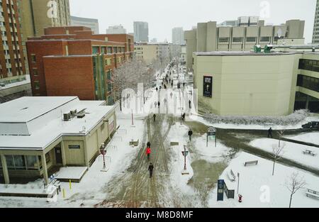 Blick auf dem Campus der Universität von Ottawa in der nähe der Universitäts Platz in Ottawa, der Hauptstadt Kanadas Stockfoto