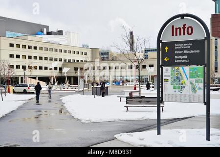 Blick auf dem Campus der Universität von Ottawa in der nähe der Universitäts Platz in Ottawa, der Hauptstadt Kanadas Stockfoto