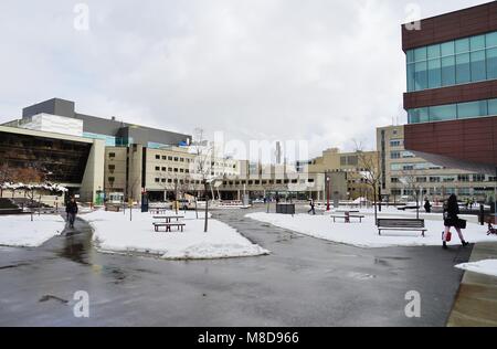 Blick auf dem Campus der Universität von Ottawa in der nähe der Universitäts Platz in Ottawa, der Hauptstadt Kanadas Stockfoto