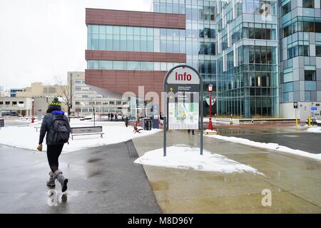 Blick auf dem Campus der Universität von Ottawa in der nähe der Universitäts Platz in Ottawa, der Hauptstadt Kanadas Stockfoto