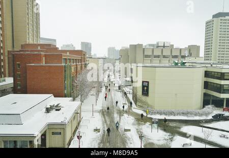 Blick auf dem Campus der Universität von Ottawa in der nähe der Universitäts Platz in Ottawa, der Hauptstadt Kanadas Stockfoto