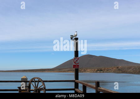 El Molino Viejo San Quintin Baja California Stockfoto