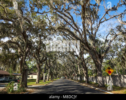 St. Augustine, FL - 07 März, 2018: Blick auf den berühmten Magnolia Ave, von Moos bewacht - hung live Eichen. Es gilt als eines der schönsten stree Stockfoto