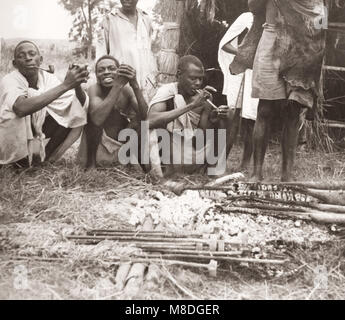 Osten Afrika - Uganda Inokulation Kampagne durch die Briten gegen tsetse Fliege Krankheiten in Vieh - Rinder und Hirten Stockfoto