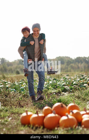 Mann, der Sohn piggyback Ride in Feld bei Pumpkin Patch. Stockfoto