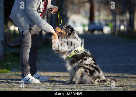 Der Mann mit Hund Pfote in Park, 7/8 Stockfoto
