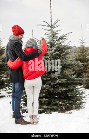 Junges Paar Auswahl Weihnachtsbaum aus Wald, Rückansicht Stockfoto