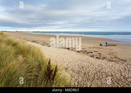 Beadnell Bay, Northumberland, von der St. Oswald's Weg coastal path. Stockfoto