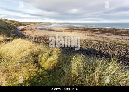 Beadnell Bay, Northumberland, von der St. Oswald's Weg coastal path. Stockfoto