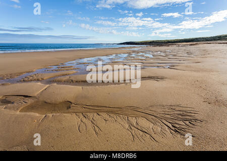 Eine kleine Bucht zwischen Beadnell Bay und niedrigen Newton by-the-Sea Stockfoto