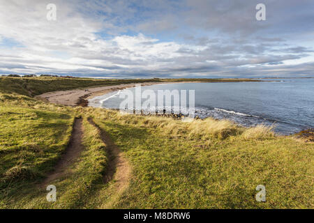 Fußball-Loch neben Beadnell Bay in Northumberland Stockfoto