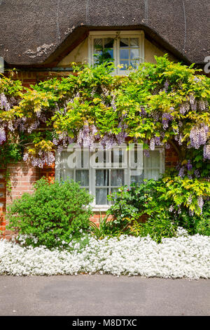 Traditionelle englische Land Reetdachhaus mit Pflanzen und blühenden Blumen in ländlichen südlichen England Großbritannien eingerichtet Stockfoto