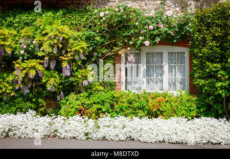 Traditionelle englische Landhaus mit Pflanzen und blühenden Blumen in ländlichen südlichen England Großbritannien eingerichtet Stockfoto