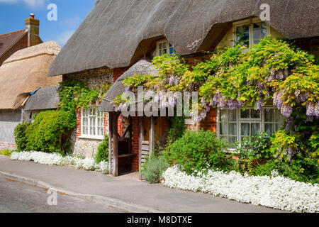 Eine typische traditionelle englische Landhaus Reetdachhaus mit Pflanzen und blühenden Blumen in ländlichen südlichen England Großbritannien eingerichtet Stockfoto