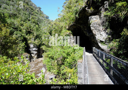 Die charmante Creek Promenade, in der Nähe von Westport, der folgt dem Ngakawau Schlucht, die durch Tunnel und über Brücken und spektakuläre Ausblicke. Stockfoto