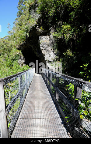 Die charmante Creek Promenade, in der Nähe von Westport, der folgt dem Ngakawau Schlucht, die durch Tunnel und über Brücken und spektakuläre Ausblicke. Stockfoto