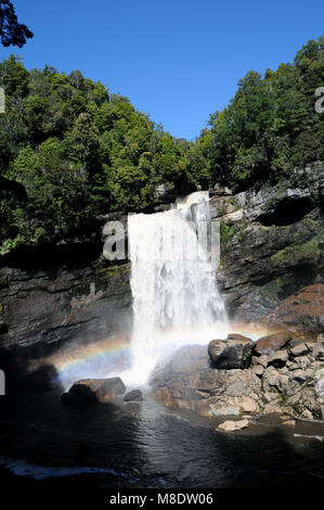 Mangatini fällt (Sommer) auf der Ngakawau River Gorge. Die Fälle lassen sich am besten vom charmanten Creek Gehweg entlang der wunderschönen Ngakawau Schlucht gesehen werden. Stockfoto