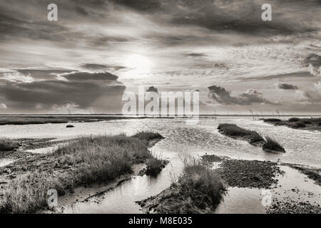 Nordsee Insel Mandø, UNESCO Weltnaturerbe, Ribe, Jütland, Dänemark Stockfoto