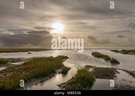 Nordsee Insel Mandø, UNESCO Weltnaturerbe, Ribe, Jütland, Dänemark Stockfoto