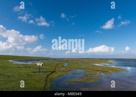 Nordsee Insel Mandø, UNESCO Weltnaturerbe, Ribe, Jütland, Dänemark Stockfoto