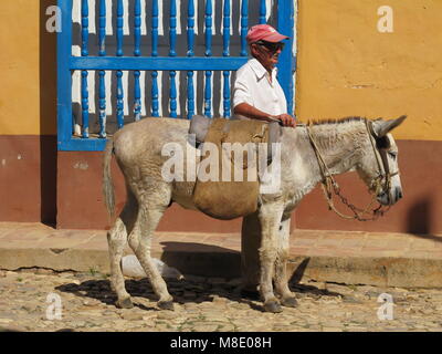 Opa mit Esel an der Trinidad Straße. Sancti Spiritus, Kuba Stockfoto