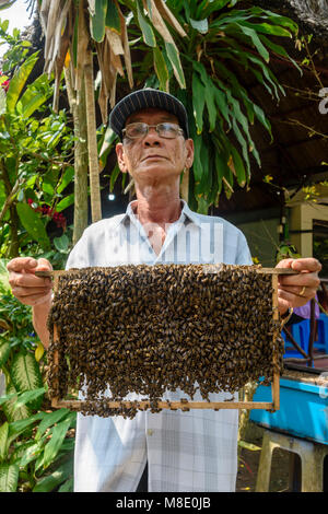 Ein älterer Mann hält eine Wabe in Bienen bedeckt, Vietnam Stockfoto
