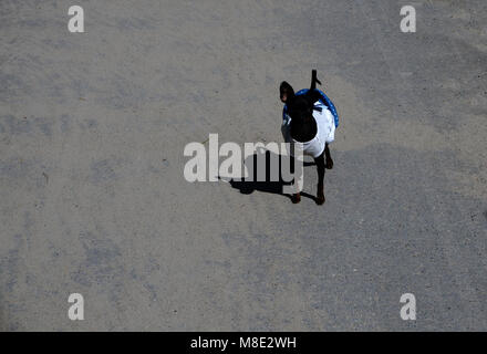 Kleine Chihuahua auf der Fensterbank. Rosa kleidung für hunde Stockfoto