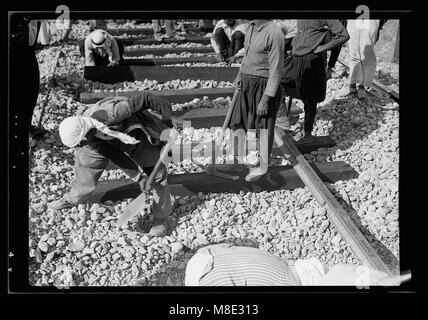 Reparaturen an Lydda-Jerusalem Eisenbahn, Sept. 5, '38 LOC 18679 matpc. Stockfoto