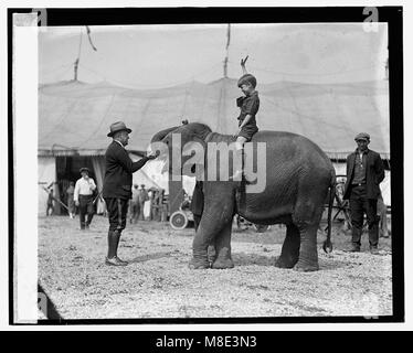 Teddy Roosevelt im Circus, (5-13-24) LOC npcc. 11336 Stockfoto