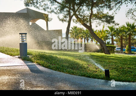 Morgendliche Bewässerung des Rasens mit automatischem Bewässerungssystem. Intelligente Rasensprinkleranlage Stockfoto