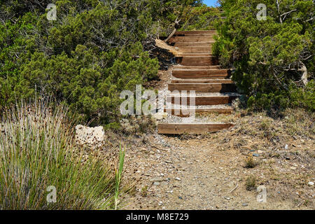 Weg zum Meer mit Stufen aus kleinen Kieselsteinen und Holz zwischen den Büschen Stockfoto