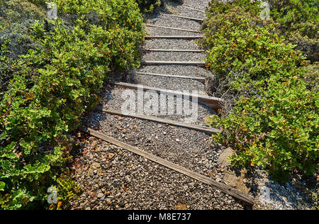 Weg zum Meer mit Stufen aus kleinen Kieselsteinen und Holz zwischen den Büschen Stockfoto