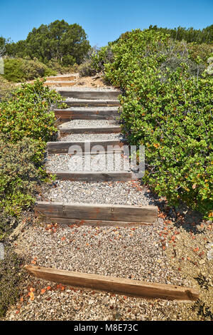 Weg zum Meer mit Stufen aus kleinen Kieselsteinen und Holz zwischen den Büschen Stockfoto