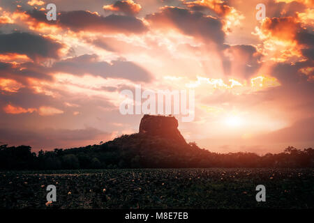 Tolle Aussicht auf den Sonnenuntergang von Lion Rock mit alter Festung und Tempel berühmten Weltkulturerbe in Sigiriya, Sri Lanka. Lotus Blumen Teich im Vordergrund Stockfoto