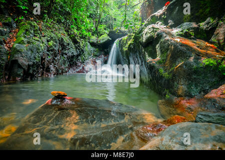 Zauberhafte Teich mit Wasserfall in der Mitte des Dschungels. Geheimnisvolle Pool in dichten tropischen Wald mit fließendem Wasser in den See umgeben von Wilden Stockfoto