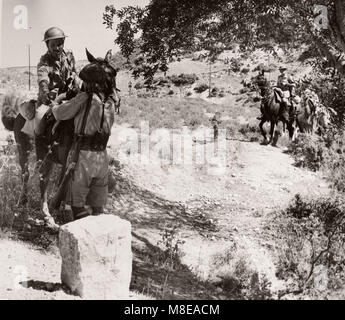 1943 Syrien - Trans-Jordan oder Trans-Jordanian Frontier Force TJFF Armee regiment Stockfoto