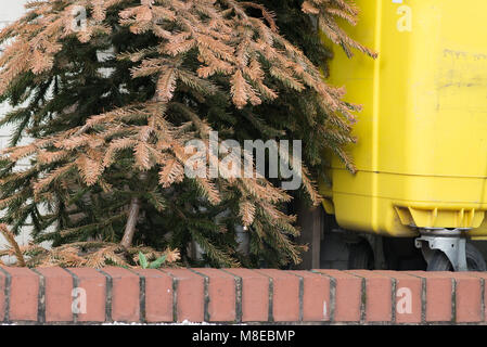 Weihnachten tre gegen die Wand gelehnt Neben hellen gelben Mülltonne Müllcontainer abgebrochen Stockfoto